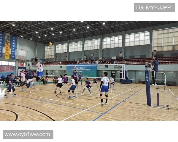 北京排球队的奋斗历程与荣耀时刻全景回顾